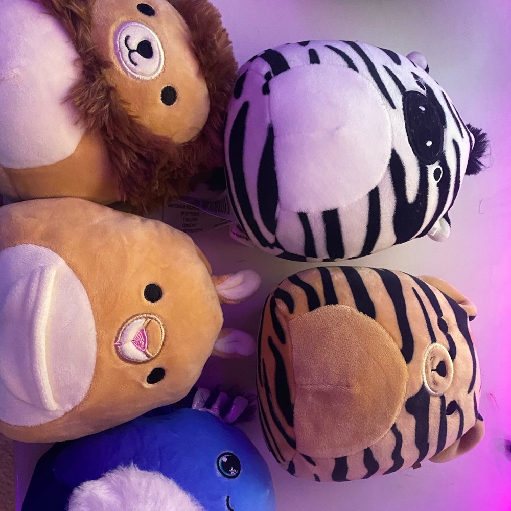 Squishmellow bundle